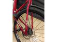 BICYCLE 2022 - 5