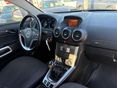 OPEL ANTARA 2014/7 - 8
