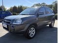 HYUNDAI TUCSON 2009/1 - 4
