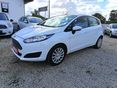 FORD FIESTA 2013/3 - 1
