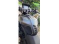 HONDA CB 750 HORNET 2024/8 - 2