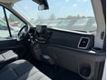 FORD TRANSIT 2026 - 16