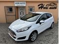 FORD FIESTA 2014/2 - 1
