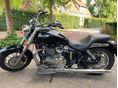 TRIUMPH AMERICA 2014/5 - 1