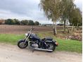 TRIUMPH AMERICA 2014/5 - 4