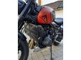 TRIUMPH TRIDENT 2023/5 - 2