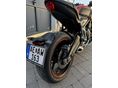 TRIUMPH TRIDENT 2023/5 - 5