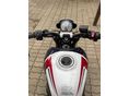 TRIUMPH TRIDENT 2024/9 - 10