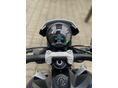TRIUMPH TRIDENT 2024/9 - 12