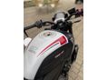 TRIUMPH TRIDENT 2024/9 - 11