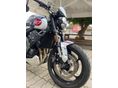 TRIUMPH TRIDENT 2024/9 - 2