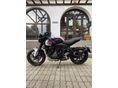 TRIUMPH TRIDENT 2024/9 - 3