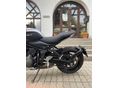 TRIUMPH TRIDENT 2024/9 - 9