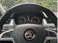 SKODA RAPID 2015/5 - 1