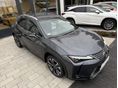 LEXUS UX 2024/10 - 4