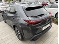 LEXUS UX 2024/10 - 5