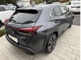 LEXUS UX 2024/10 - 6