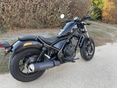 HONDA CMX 500 REBEL 2019/8 - 3