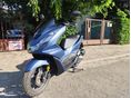 HONDA PCX 125 2024/10 - 2