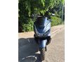 HONDA PCX 125 2024/10 - 3