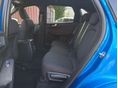 FORD KUGA 2024/6 - 8