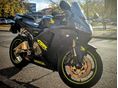 HONDA CBR 600 RR 2005/6 - 2