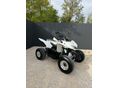 AEON COBRA SPORT 2014/4 - 1