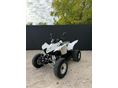 AEON COBRA SPORT 2014/4 - 2