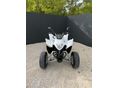 AEON COBRA SPORT 2014/4 - 7