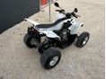 AEON COBRA SPORT 2014/4 - 8
