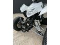 AEON COBRA SPORT 2014/4 - 10