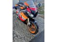 HONDA CBR 1000 RR 2009/3 - 3