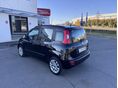 FIAT PANDA 2013/4 - 3