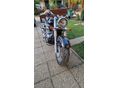 SUZUKI VL 800 (INTRUDER) 2009/10 - 2
