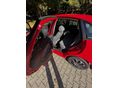 SEAT IBIZA 2003/5 - 4