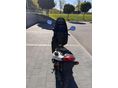 SUZUKI K 50 2003/3 - 10