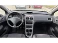 PEUGEOT 307 2006/4 - 10