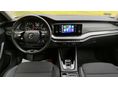 SKODA OCTAVIA 2022/2 - 7