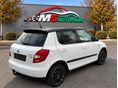SKODA FABIA 2012/5 - 4