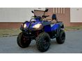 ADLY ATV 2011/10 - 1