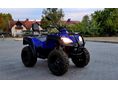 ADLY ATV 2011/10 - 3