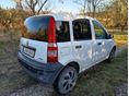 FIAT PANDA 2005/5 - 3