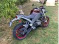 BUELL XB12S 2008/4 - 2