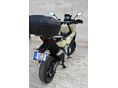 HONDA X-ADV 2022/6 - 4