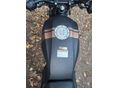 BARTON CAFE RACER 2024/6 - 8