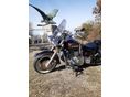 YAMAHA XV 1600 WILD STAR 2001 - 4