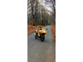 SUZUKI GS 500 F 2004/6 - 5