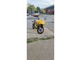 SUZUKI GS 500 F 2004/6 - 3