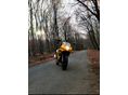 SUZUKI GS 500 F 2004/6 - 1