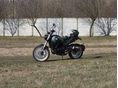 BENELLI LEONCINO 500 TRIAL 2024/12 - 1